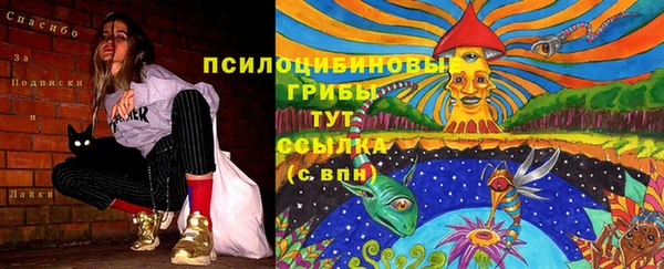 соль ск Заволжье