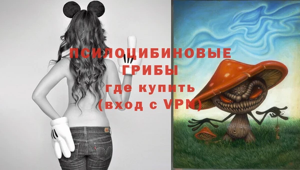 соль ск Заволжье