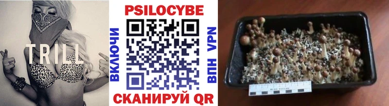 купить   Тула  Галлюциногенные грибы ЛСД 